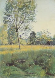 Die goldene Aue